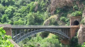 بحث حول مدينة تلمسان