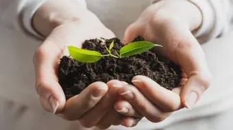 بحث حول كيفية المحافظة على التربة