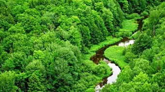 بحث حول الطبيعة