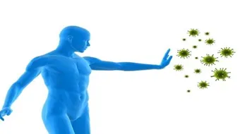 بحث عن جهاز المناعة