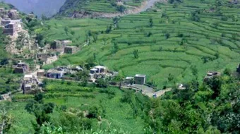 محافظة ريمة