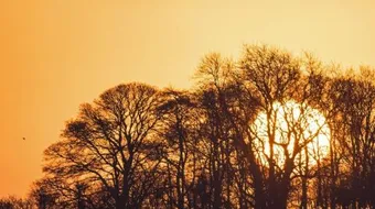 خواطر صباحية رومانسية