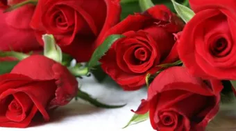 ابيات شعر رومانسية