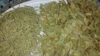 اكليل الجبل لتنعيم الشعر