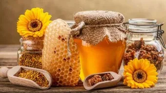 غذاء الملكات للحامل