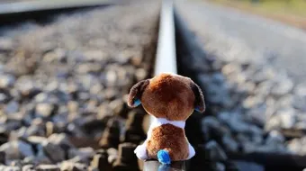 حكم عن عدم الاهتمام