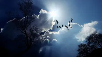 حكم عن الحياه