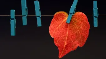 حكم عن الذكريات