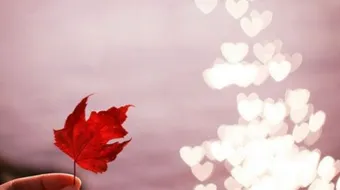 حكم وخواطر عن الحياة