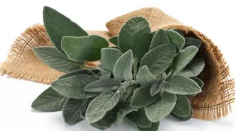 فوائد الميرمية للشيب