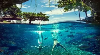 جزيرة ساموا