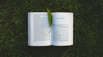 أقوال عن الثقافة