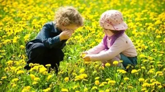 اقوال عن الصداقة