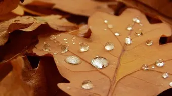 أقوال عن الصبر