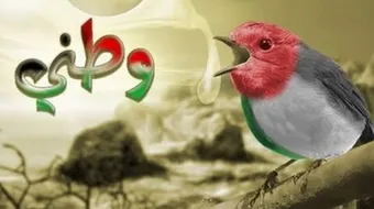 أقوال عن الوطن