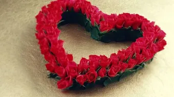 أقوال وأمثال عن الحب