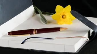 أقوال واقتباسات