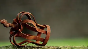 أقوال وحكم عن الكرامة