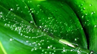 أقوال في الخير