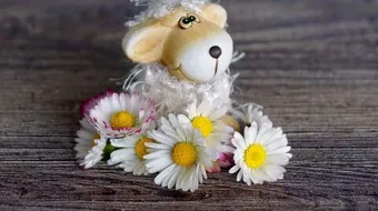 أقوال في الأمل والتفاؤل