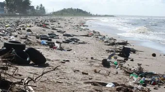 أضرار تلوث البحار