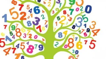 بحث عن مادة الرياضيات