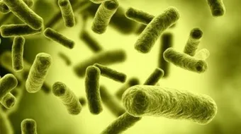 بحث عن الأحياء