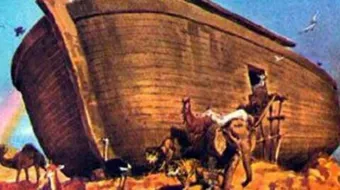 بحث عن سيدنا نوح