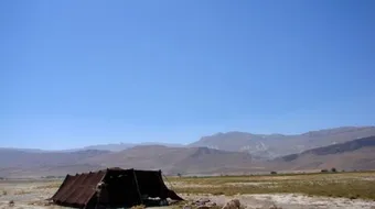 بحث عن سكان البيئة الزراعية