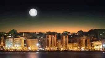 بحث عن طنجة