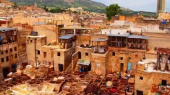 بحث عن مدينة فاس