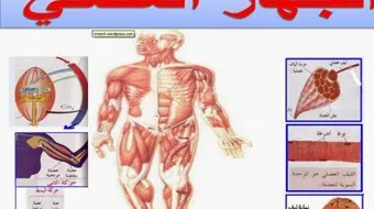 بحث عن الجهاز العصبي