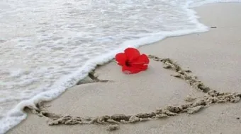 عبارات قصيرة عن الحب