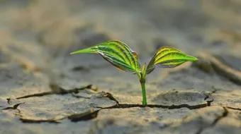 عبارات دينية قصيرة