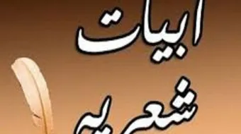 ابيات شعريه قصيره