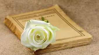 أبيات شعر قصيرة