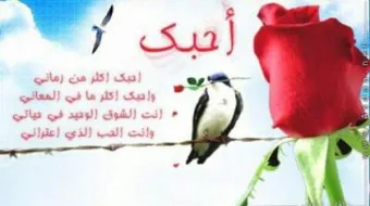 كلمات حب وعشق قصيرة