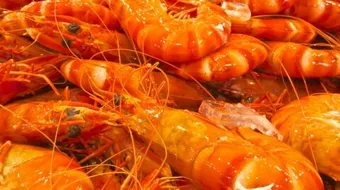 طريقة طبخ القريدس