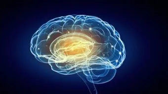 علامات تأخر النمو العقلي عند الأطفال