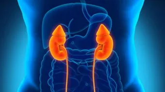 علامات ارتفاع الكرياتينين