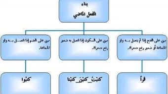 علامات إعراب الفعل الماضي