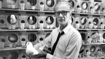 العالم سكنر