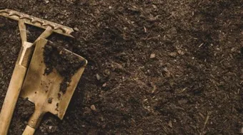 طرق تحسين التربة