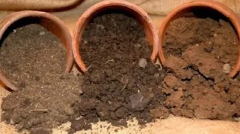 أنواع التربة