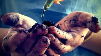 بعض الوسائل لنشر الخير