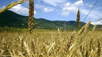 بعض الحلول التي تساعد على التكيف مع المناخ