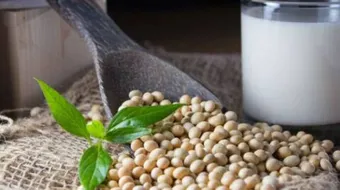 أضرار حليب الصويا للنساء