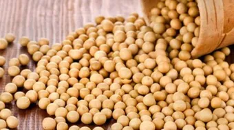 فوائد فول الصويا للنساء