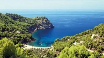 جزيرة مايوركا الإسبانية