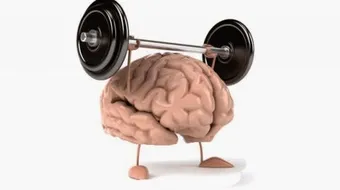 فوائد الرياضة للعقل - فيديو